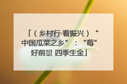 （乡村行·看振兴）“中国瓜菜之乡”：“莓”好前景 四季生金